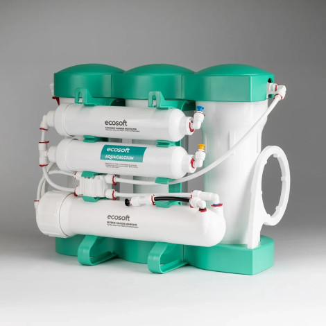 Фільтр зворотного осмосу Ecosoft PURE AQUACALCIUM Mint (MO675PUREMACECO)