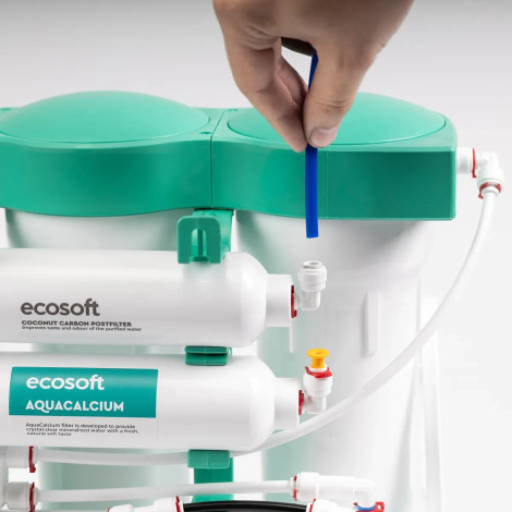 Фільтр зворотного осмосу Ecosoft PURE AQUACALCIUM Mint (MO675PUREMACECO)